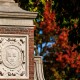 美国总统特朗普表示将取消哈佛大学免税资格