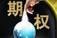 如何理解利率期权合约的构成与特点？这些合约在市场中的作用是什么？