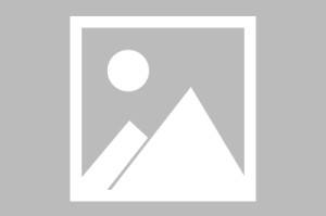 莱宝高科：向华为供应笔记本电脑用触摸屏产品，但来自该客户的营业收入占比极低
