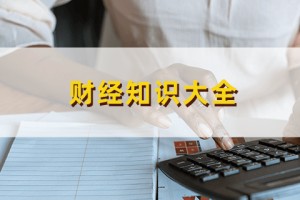 如何分析一家科技公司的发展前景？这种分析的依据是什么？