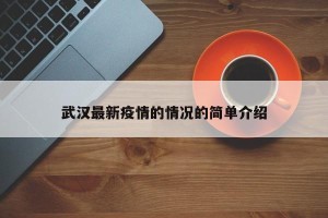 武汉最新疫情的情况的简单介绍