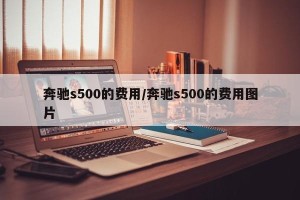 奔驰s500的费用/奔驰s500的费用图片