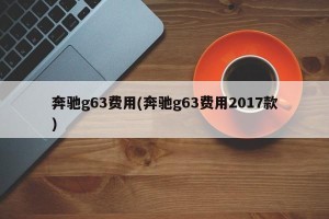 奔驰g63费用(奔驰g63费用2017款)