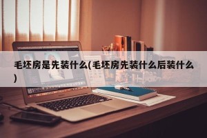 毛坯房是先装什么(毛坯房先装什么后装什么)