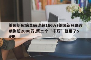 美国新冠病毒确诊超166万/美国新冠确诊病例超2000万,第二个“千万”仅用了54天