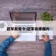 冠军勋章令/冠军勋章图片