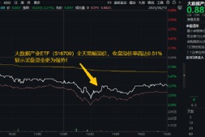 算力航母启航在即！披露重组预案，中科曙光涨停！大数据产业ETF（516700）收盘溢价率0.51%，买盘资金强势