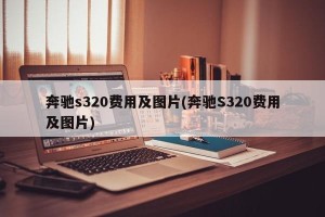 奔驰s320费用及图片(奔驰S320费用及图片)
