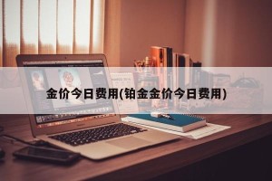 金价今日费用(铂金金价今日费用)