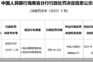 第三方支付罚单不止！哪些红线要警惕