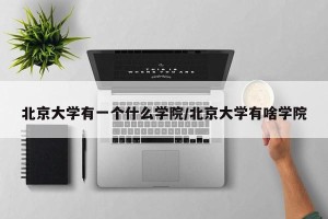 北京大学有一个什么学院/北京大学有啥学院