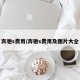 奔驰s费用/奔驰s费用及图片大全