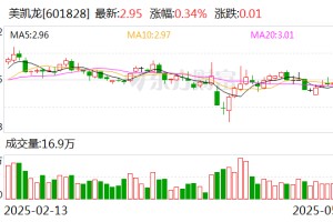 美凯龙董事兼总经理车建兴被留置